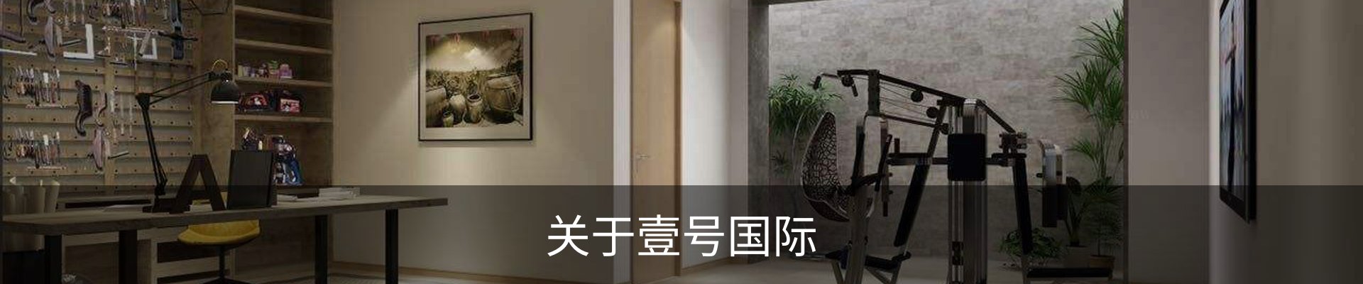 关于壹号国际